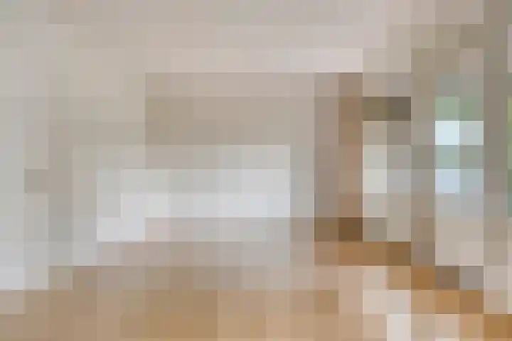 Friezenlaan 170 Tilburg thumbnail 7