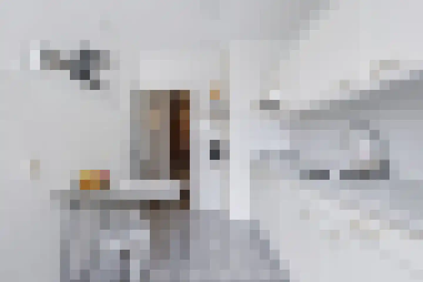 Friezenlaan 174 Tilburg thumbnail 20