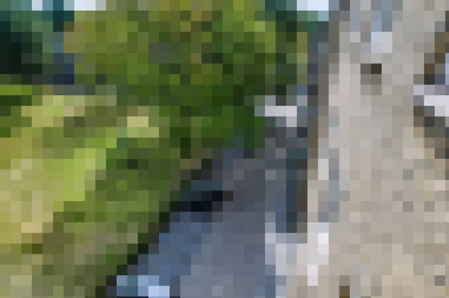 Friezenlaan 174 Tilburg thumbnail 25