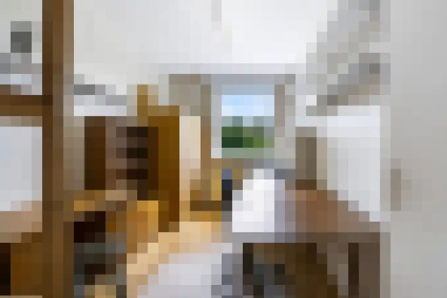Friezenlaan 174 Tilburg thumbnail 31