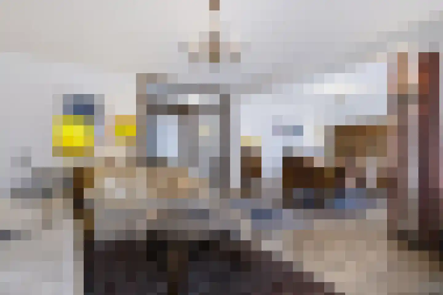 Friezenlaan 174 Tilburg thumbnail 4