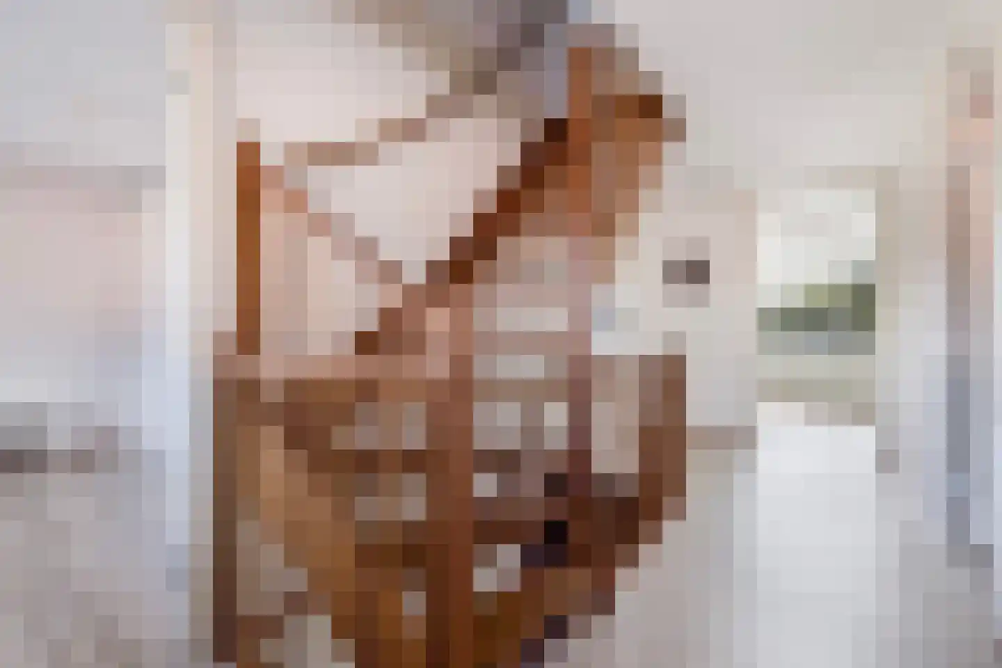 Friezenlaan 19 Apeldoorn thumbnail 23