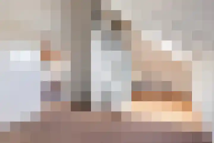 Friezenlaan 19 Apeldoorn thumbnail 25