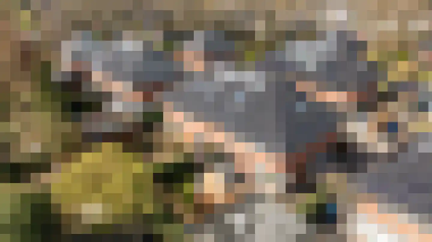 Friezenlaan 19 Apeldoorn thumbnail 33