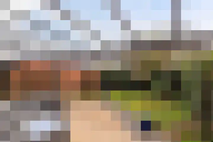 Friezenlaan 19 Apeldoorn thumbnail 4