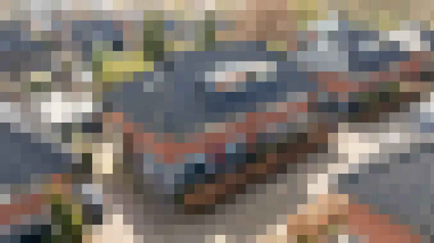 Friezenlaan 19 Apeldoorn thumbnail 5