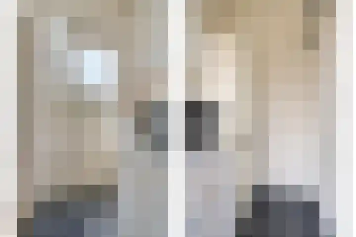 Friezenlaan 196 Tilburg thumbnail 13