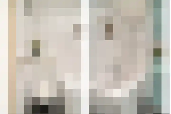 Friezenlaan 196 Tilburg thumbnail 14