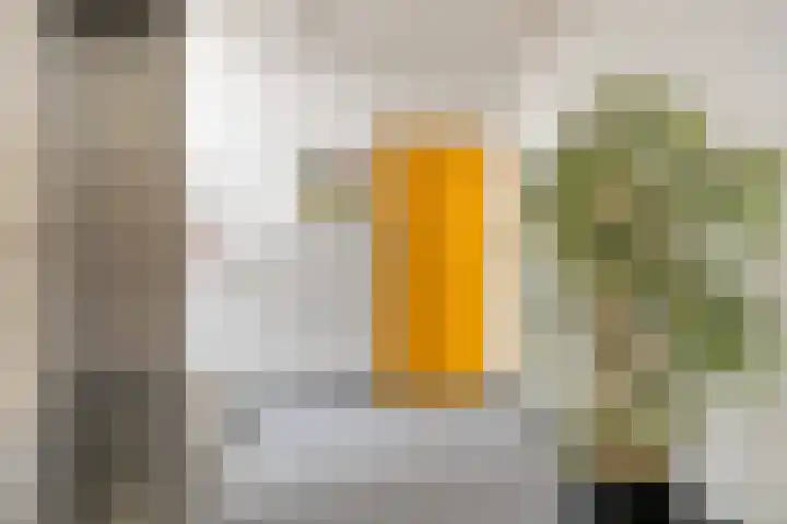Friezenlaan 196 Tilburg thumbnail 17