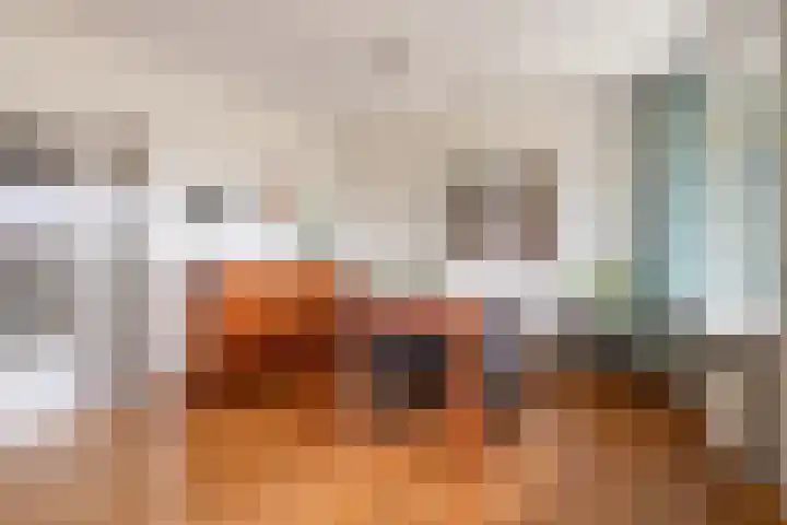 Friezenlaan 196 Tilburg thumbnail 30