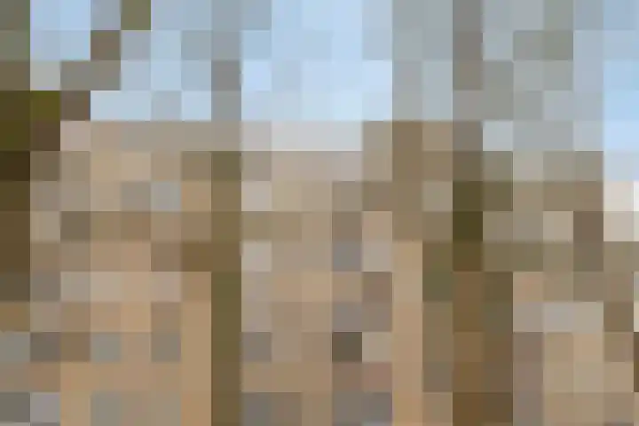 Friezenlaan 196 Tilburg thumbnail 4