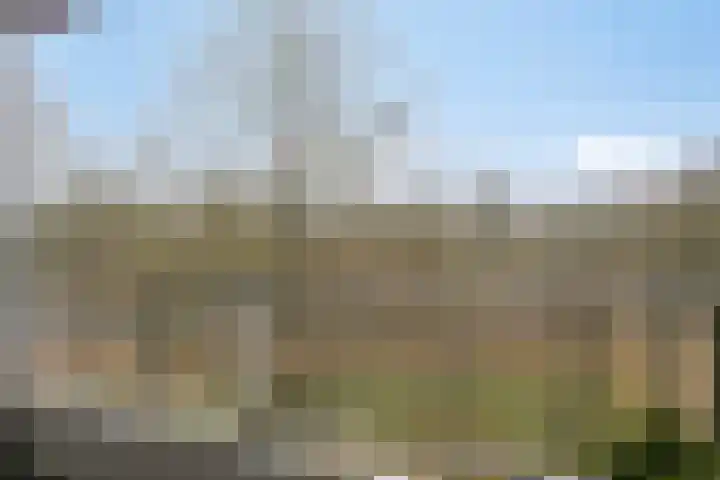 Friezenlaan 196 Tilburg thumbnail 49