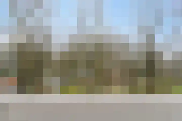 Friezenlaan 196 Tilburg thumbnail 53