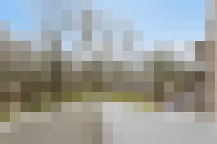 Friezenlaan 196 Tilburg thumbnail 54
