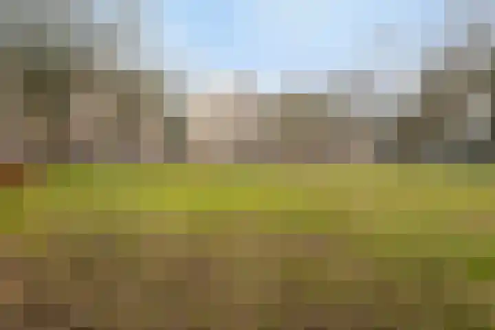 Friezenlaan 196 Tilburg thumbnail 56