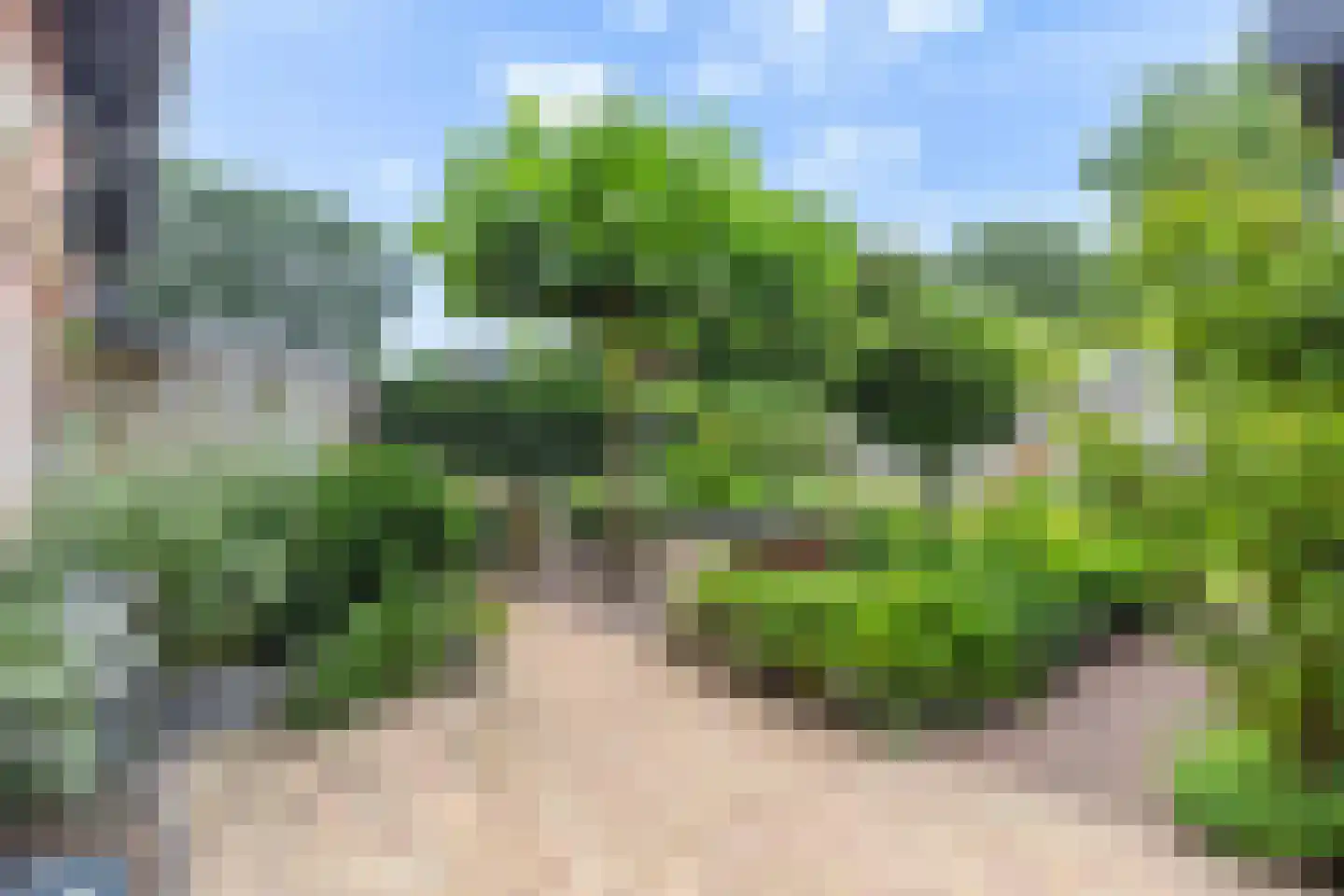 Friezenlaan 21 Apeldoorn thumbnail 41