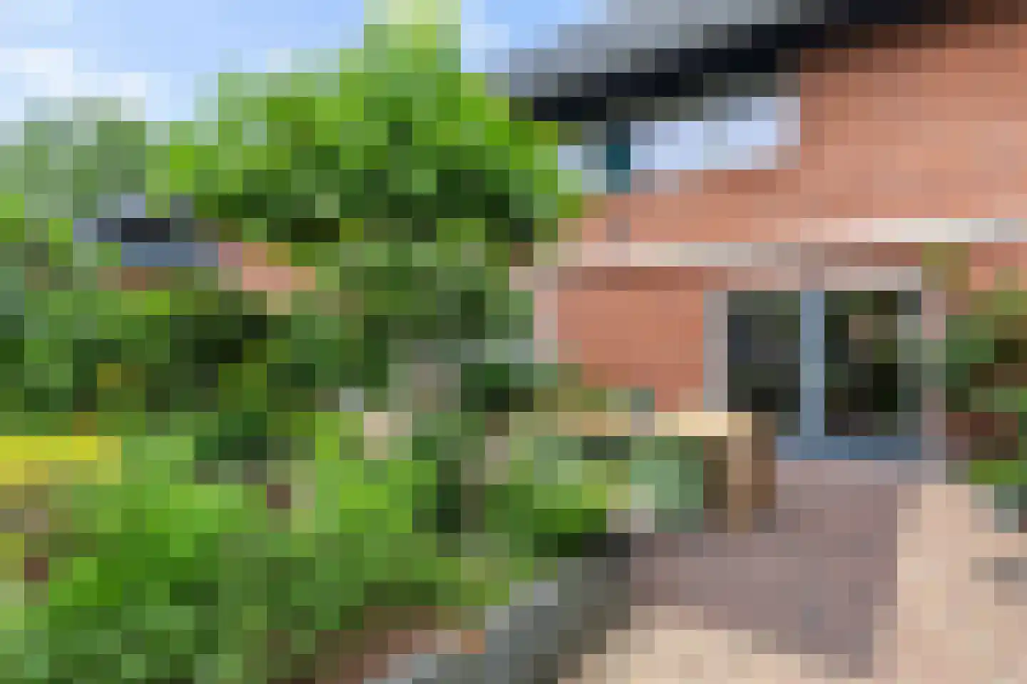 Friezenlaan 21 Apeldoorn thumbnail 45