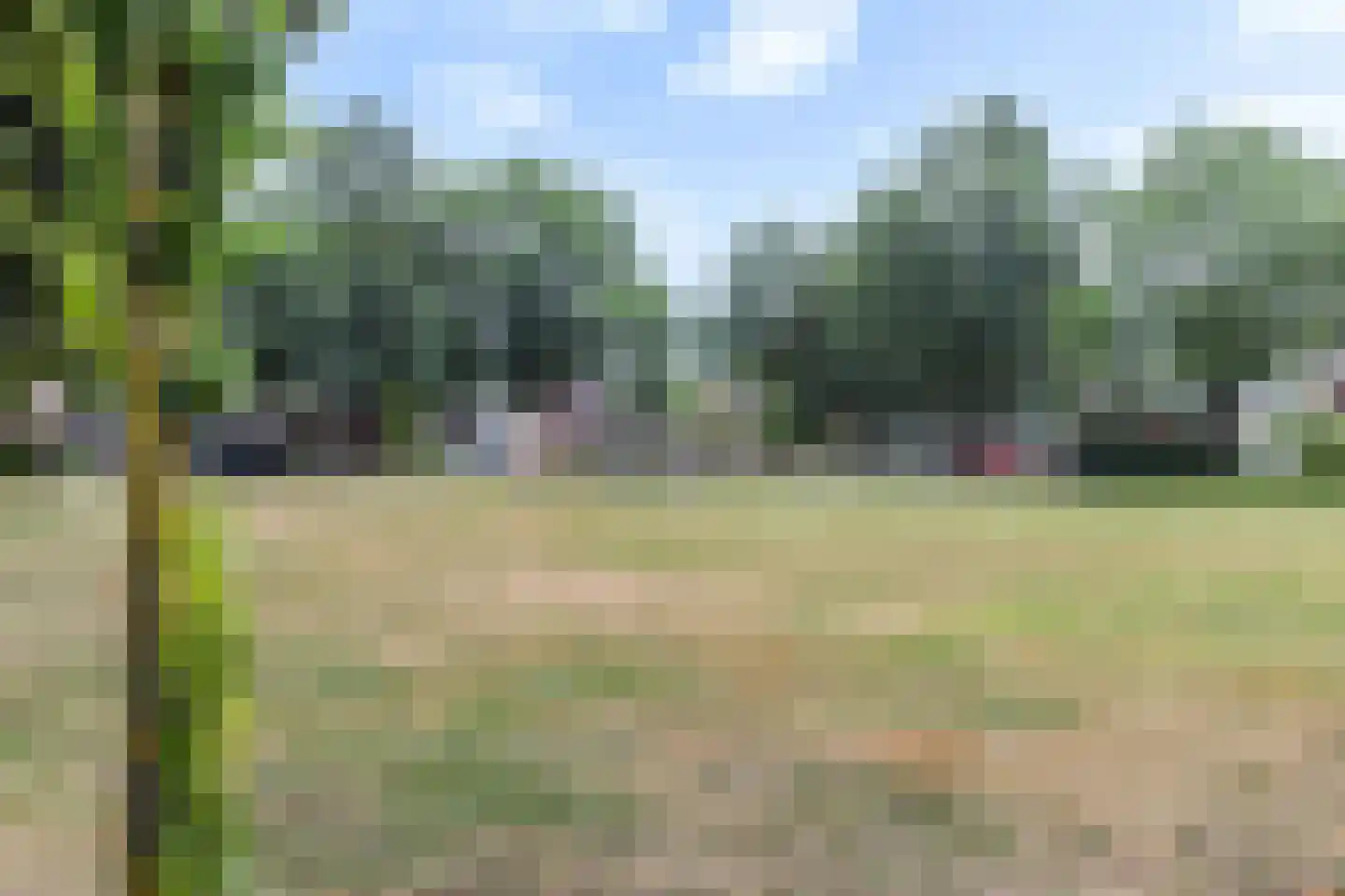 Friezenlaan 21 Apeldoorn thumbnail 51