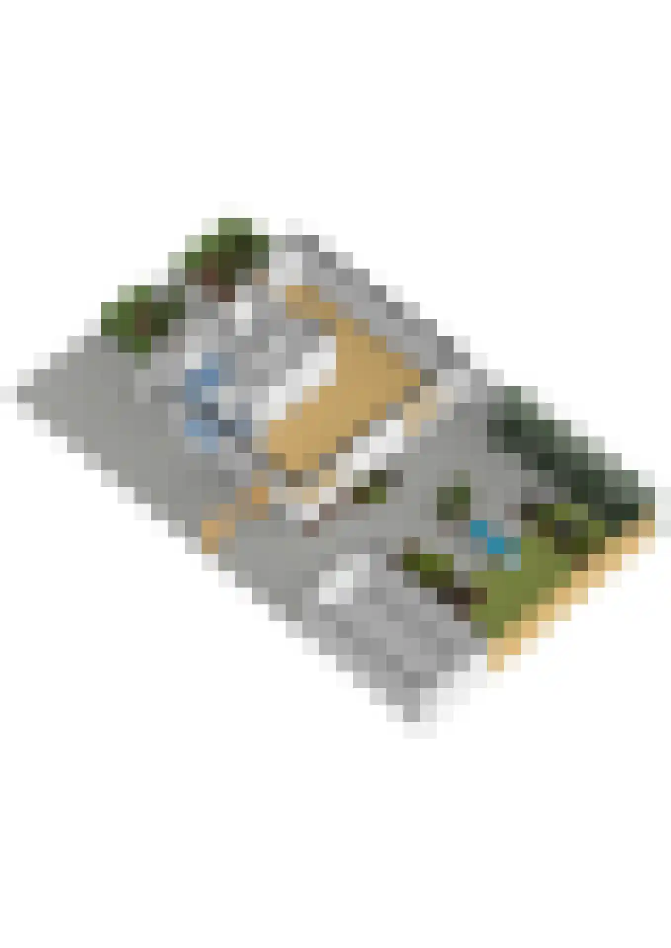 Friezenlaan 21 Apeldoorn thumbnail 63