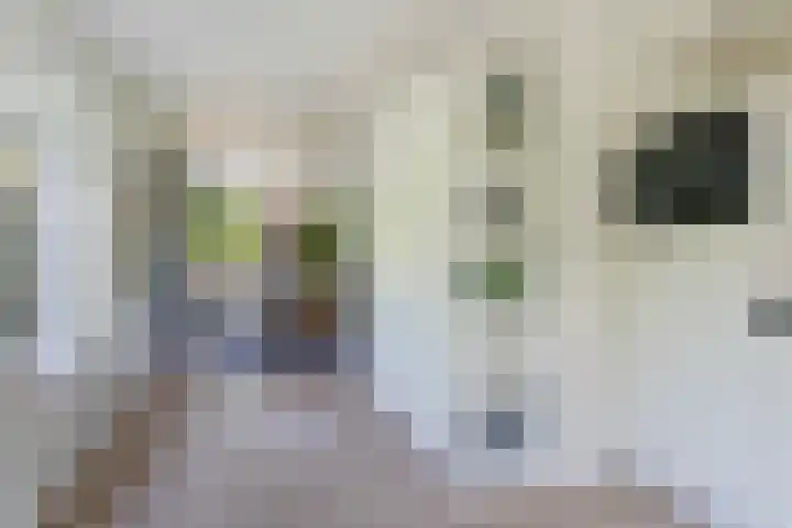 Friezenlaan 9 Apeldoorn thumbnail 13