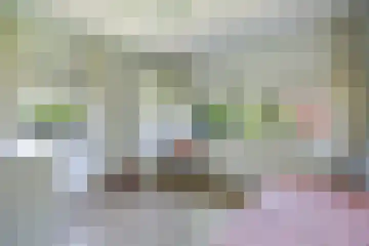Friezenlaan 9 Apeldoorn thumbnail 19