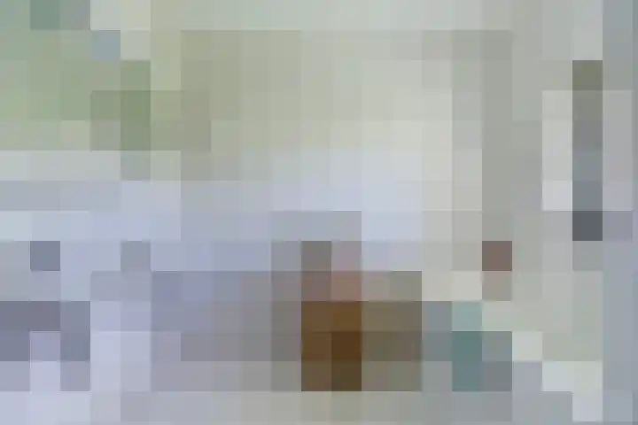 Friezenlaan 9 Apeldoorn thumbnail 20