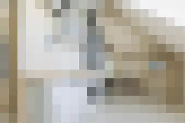 Friezenlaan 9 Apeldoorn thumbnail 25