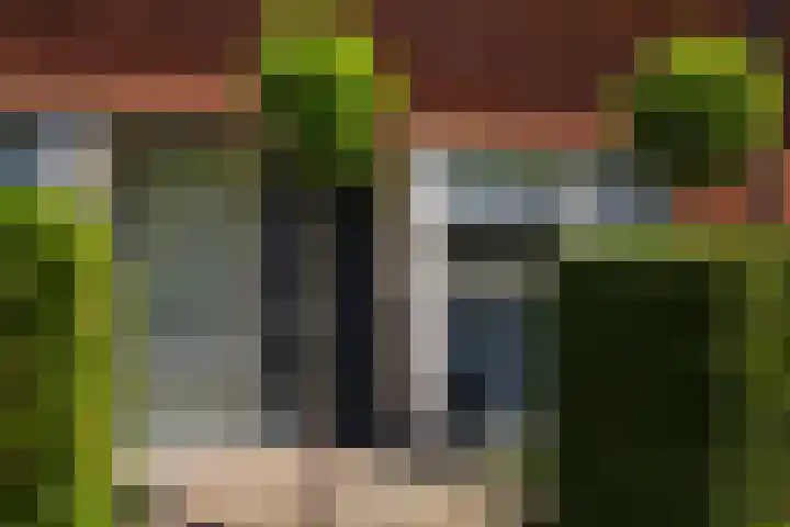Friezenlaan 9 Apeldoorn thumbnail 26