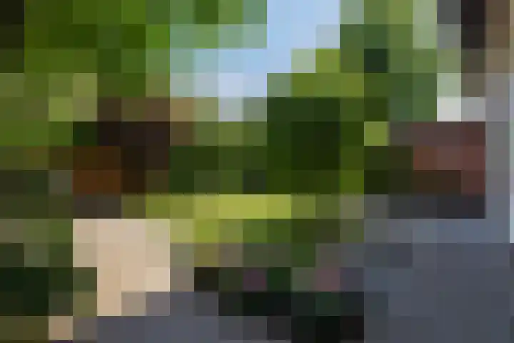 Friezenlaan 9 Apeldoorn thumbnail 27