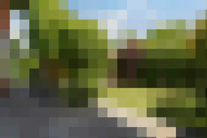 Friezenlaan 9 Apeldoorn thumbnail 28
