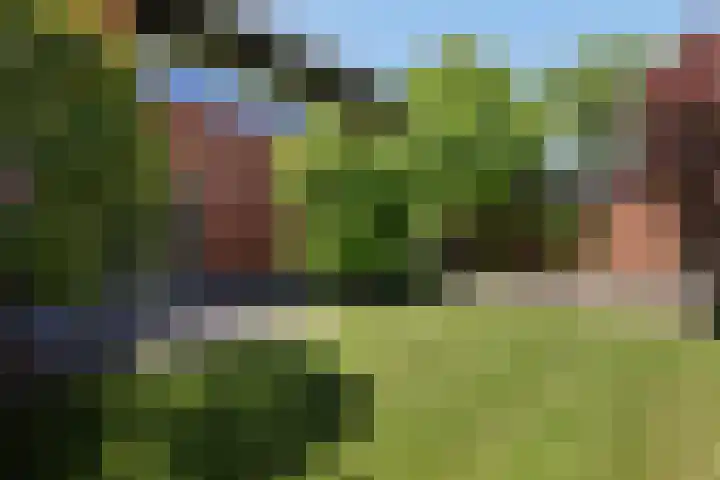 Friezenlaan 9 Apeldoorn thumbnail 29