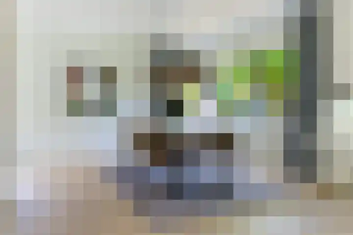 Friezenlaan 9 Apeldoorn thumbnail 4