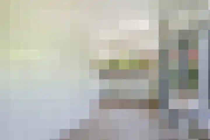 Friezenlaan 9 Apeldoorn thumbnail 5