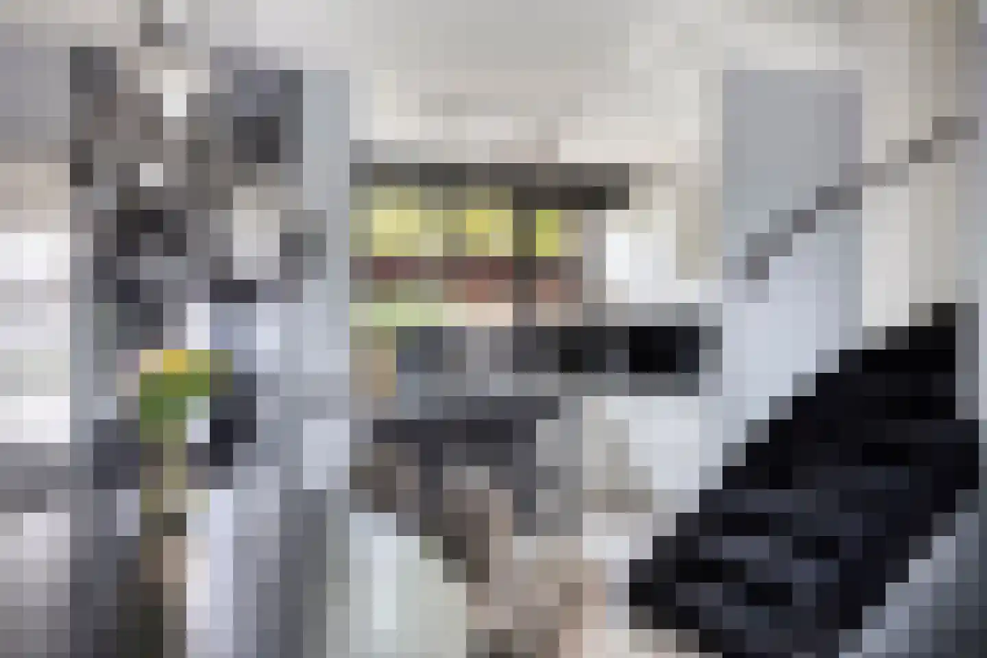 Friezenplein 8 Maastricht thumbnail 12