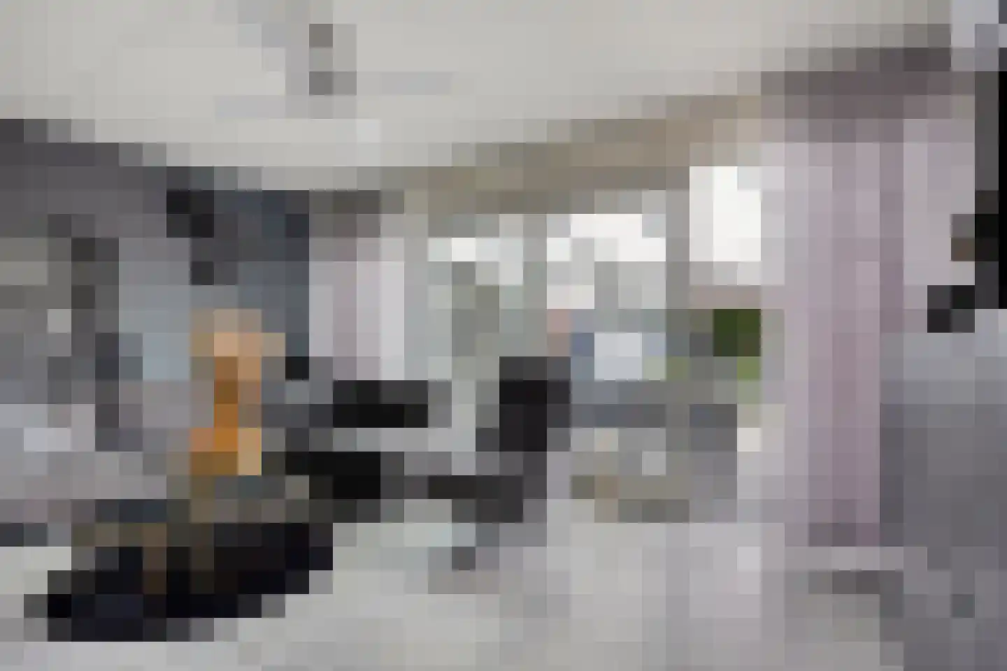 Friezenplein 8 Maastricht thumbnail 16