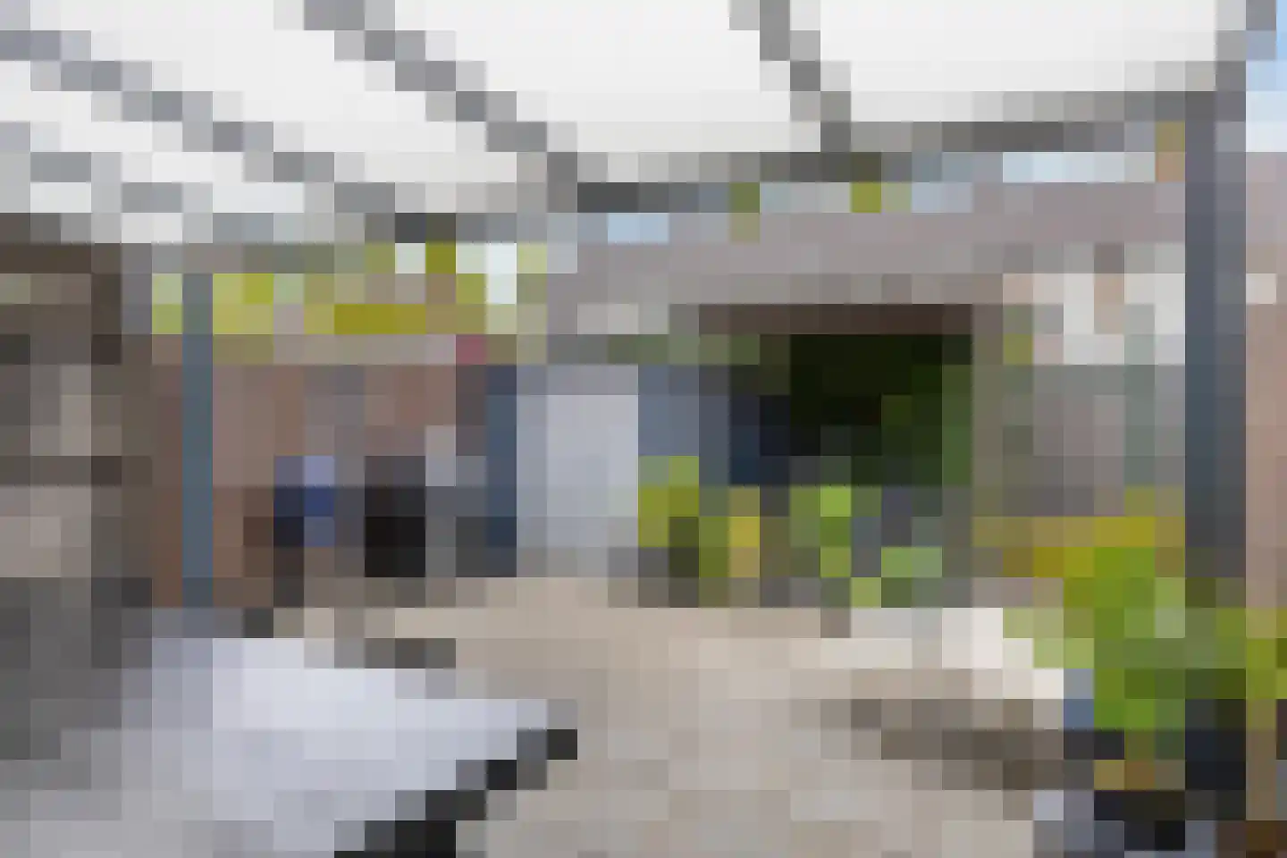 Friezenplein 8 Maastricht thumbnail 31