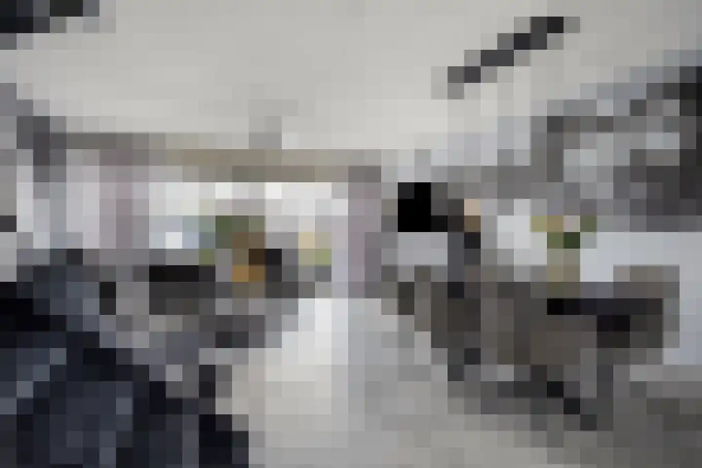 Friezenplein 8 Maastricht thumbnail 8