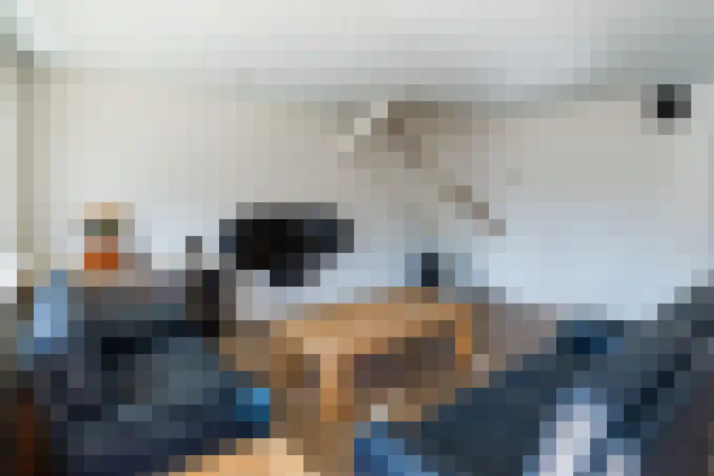 Friezenrade 4 Nieuwerkerk aan den IJssel thumbnail 11