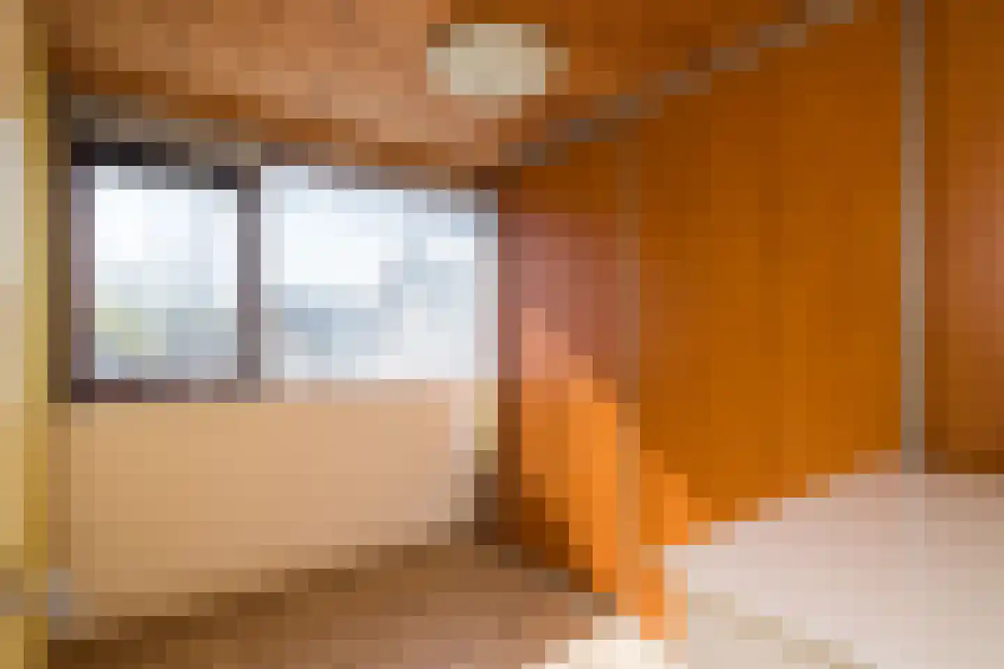 Friezenrade 4 Nieuwerkerk aan den IJssel thumbnail 13