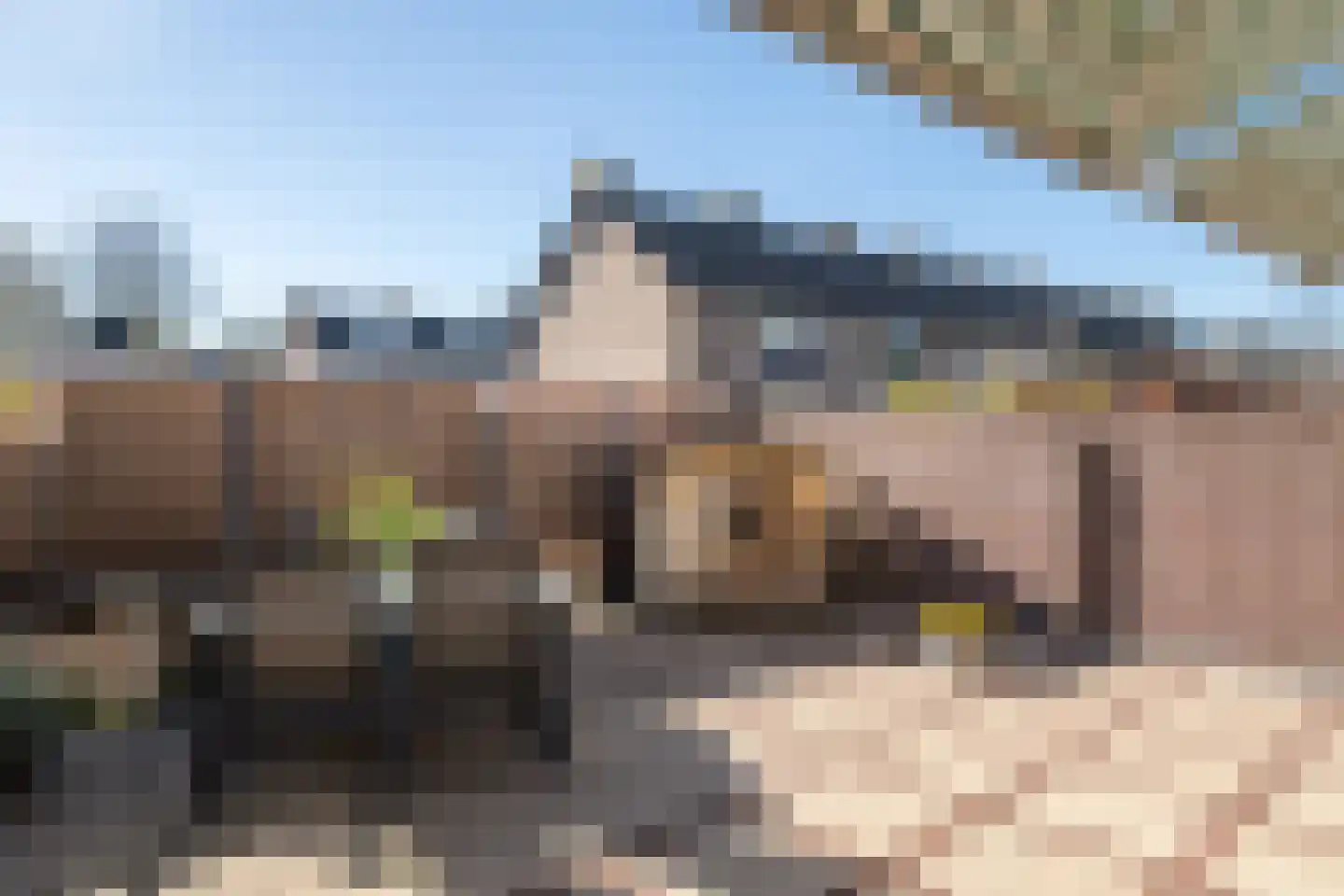 Friezenrade 4 Nieuwerkerk aan den IJssel thumbnail 27