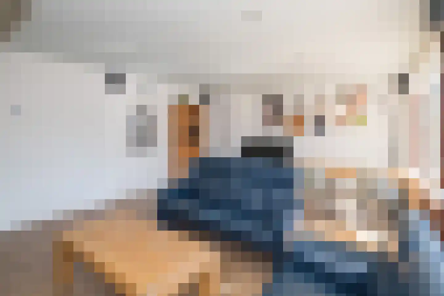 Friezenrade 4 Nieuwerkerk aan den IJssel thumbnail 6