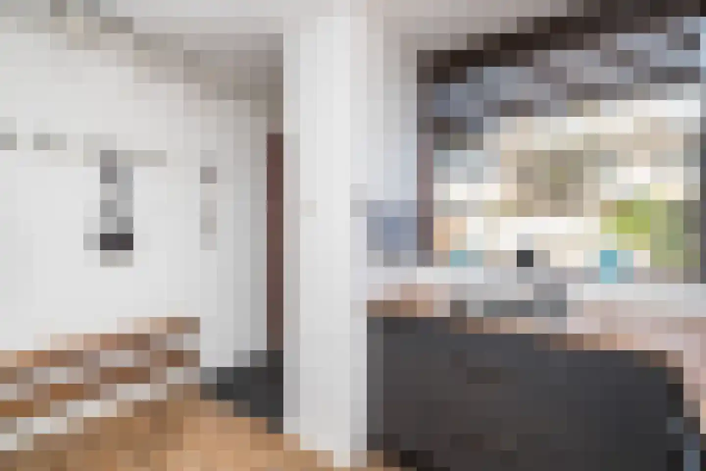 Friezenrade 4 Nieuwerkerk aan den IJssel thumbnail 8