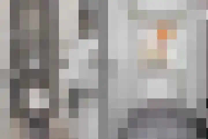 Friezenstraat 1 Maarssen thumbnail 11