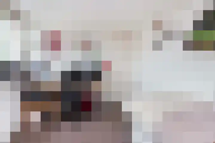 Friezenstraat 1 Maarssen thumbnail 27