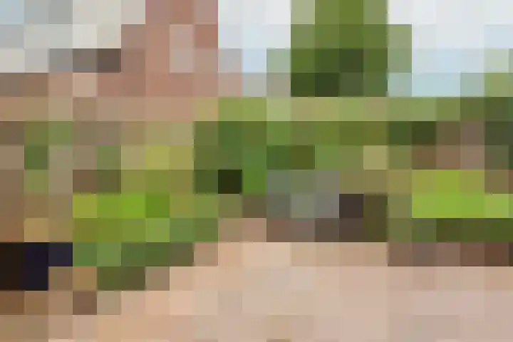 Friezenstraat 1 Maarssen thumbnail 33