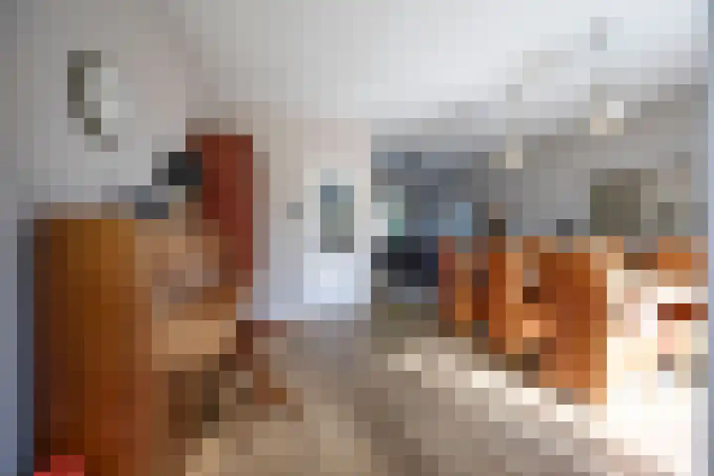 Friezenstraat 18 Haarlem thumbnail 8