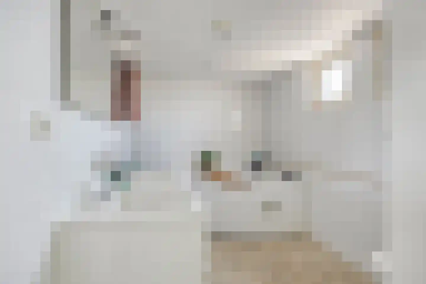 Friezenstraat 18 Maarssen thumbnail 19