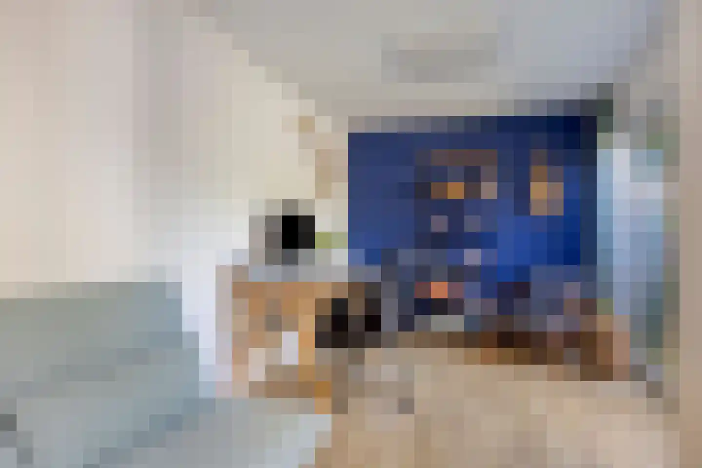 Friezenstraat 18 Maarssen thumbnail 22