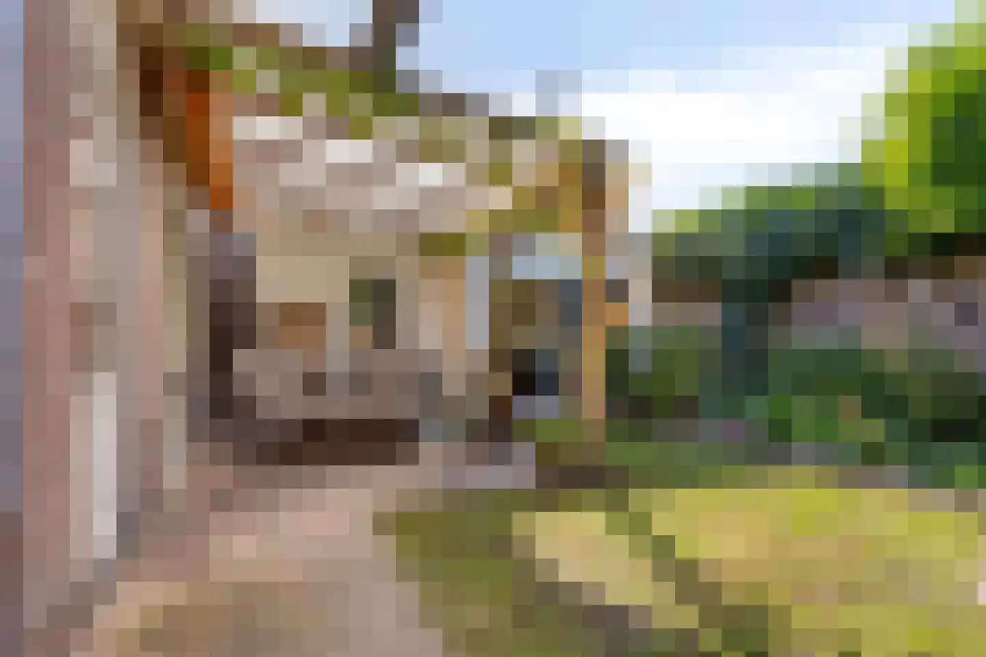 Friezenstraat 18 Maarssen thumbnail 27