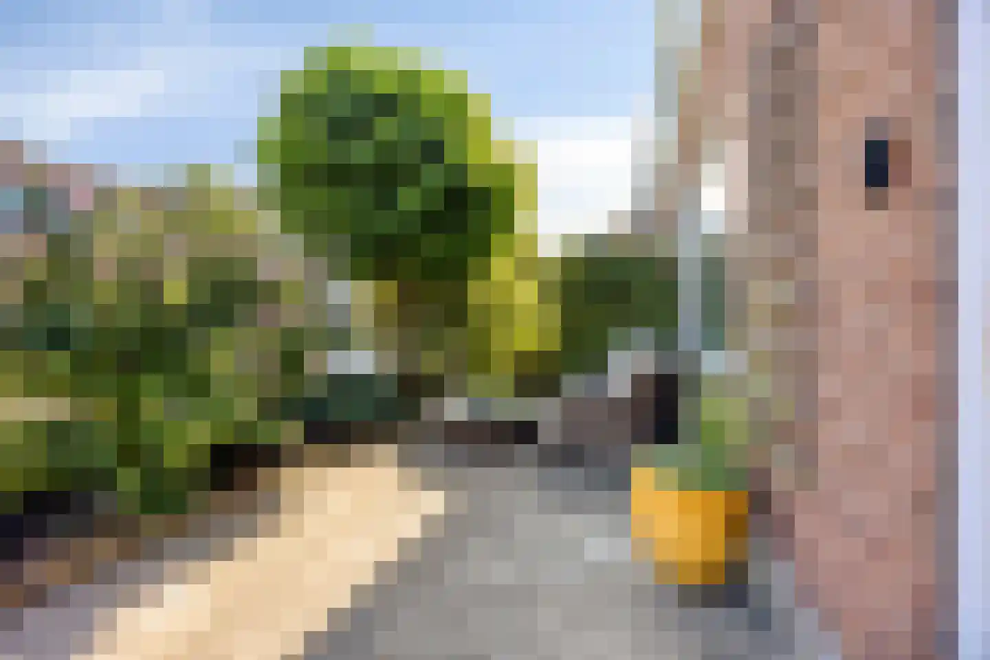 Friezenstraat 18 Maarssen thumbnail 35